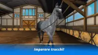 Horse Hotel - le jeu des amoureux des chevaux Screen Shot 3