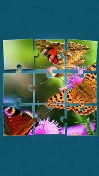 Butterfly Jigsaw Puzzles Screen Shot 13