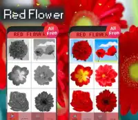 Red Flower Color By Number-Pixel Art Screen Shot 1