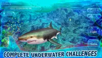 Real Shark Life - Shark Simulator Game Screen Shot 12