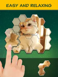 Jigsaw Hexa Block : 직소 퍼즐 Screen Shot 13