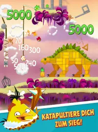 Angry Birds Classic Screen Shot 11
