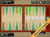 Cinco de Mayo Backgammon Screen Shot 6