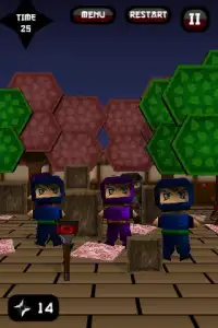 Ninja: The Ninja Way Screen Shot 3