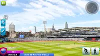 World Cricket Games Offline Screen Shot 5