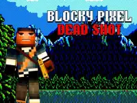 Blocky Pixel Dead Shot Screen Shot 5