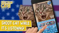 Election Cats! Translator joke Screen Shot 1