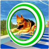 Crazy Dog Jump Stunt Sim 3D