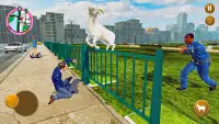 Crazy Goat Simulator Life 3D Screen Shot 3