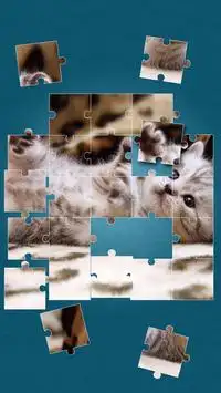 Chats Mignons Jeux De Puzzle Screen Shot 12