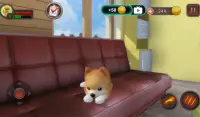 Pomeranian Dog Simulator Screen Shot 14