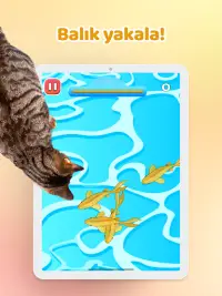 Kediler için Oyunlar - Fare Screen Shot 9