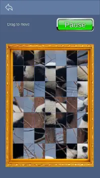 Homescape Puzzle - Panda Jigsaw Screen Shot 4