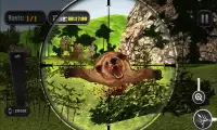 Jungle Animals Hunt Reloaded Screen Shot 0