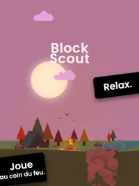 Block Scout - Empile et Relax Screen Shot 11