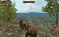 Wild Bear Attack Simulator 3d Screen Shot 7