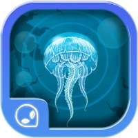 Follow The Jellyfish!