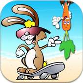 Bunny Skater Run