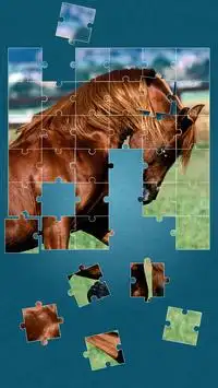 Kuda Permainan Puzzle Screen Shot 0