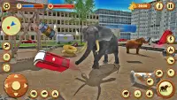 Dziki słoń gra w dżungli 3D Screen Shot 4