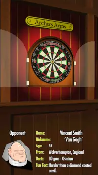 Bulls i Darts: Masters Edition Screen Shot 4