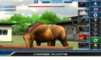 iHorse Racing: เกมแข่งรถฟรี Screen Shot 11