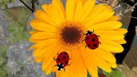 ladybug सिम्युलेटर - पशु खेल Screen Shot 0