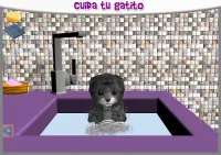 Gato Kitty Z - Mascota virtual gatito para cuidar Screen Shot 4