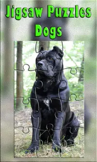 Dog Jigsaw Puzzles, Cute Dog Jigsaw Puzzles Screen Shot 2