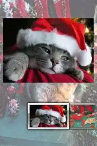 Christmas Cats Puzzle Screen Shot 9