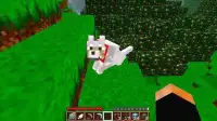 Pets Pretty Ideas - Minecraft Screen Shot 2
