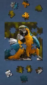 Cute Bird Puzzle - Simple Jigsaw Puzzle Screen Shot 3