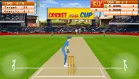 Cricket Mania 2017 Screen Shot 3