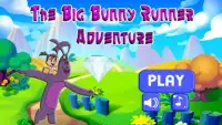 The Big Bunny Runner Adventure Screen Shot 1