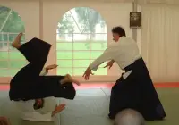 Aikido training Screen Shot 4