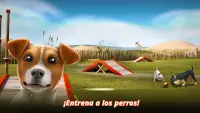 DogHotel - Juega con perros, administra guarderías Screen Shot 4