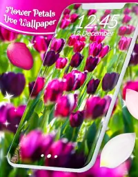 Spring Petals Live Wallpaper ❤️ Flower Wallpapers Screen Shot 7