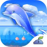 Rainbirth Dolphin Show Infinite Runner Water Race