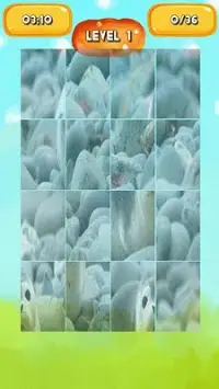 Seal Jigsaw Puzzles Screen Shot 2