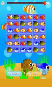 Fish Match Game Screen Shot 1
