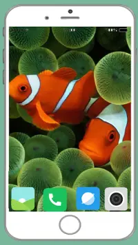 Fish Full HD Wallpaper Screen Shot 8
