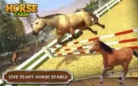 My horse hotel resorts : train & care horses Screen Shot 4