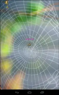 Catch the Spider Screen Shot 1