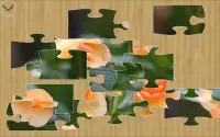 Jigsaw Puzzle Screen Shot 7
