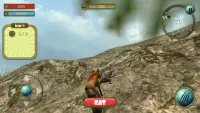 Wild Fox Survival 3d Simulator Screen Shot 0