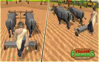 Village Plow bull Farming Screen Shot 2