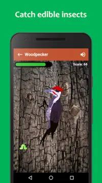 Woodpecker simulator Screen Shot 0