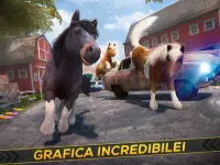 Il Mio Bel Pony: Corsa & Corri Screen Shot 10