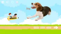 100 Animals and Birds for kids Screen Shot 3