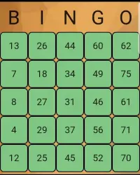 Play Bingo Screen Shot 5